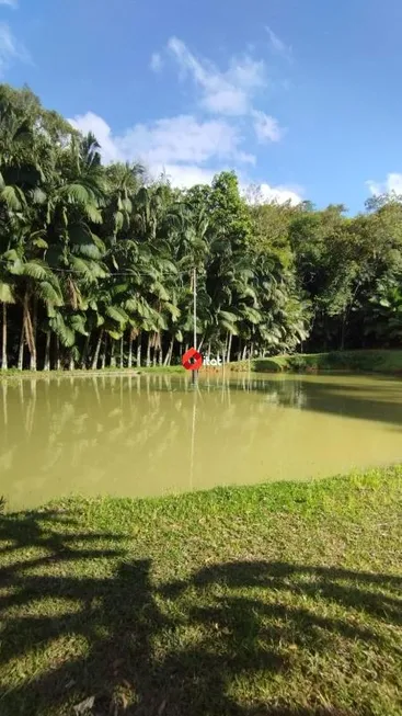 Foto 1 de Fazenda/Sítio com 3 Quartos à venda, 52300m² em Aguas Claras, Jaraguá do Sul