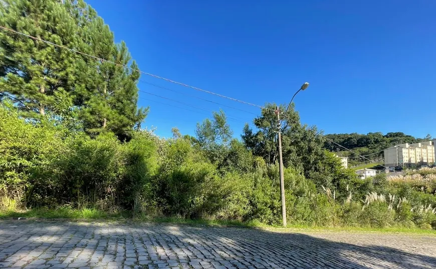 Foto 1 de Lote/Terreno à venda em São Luiz, Caxias do Sul