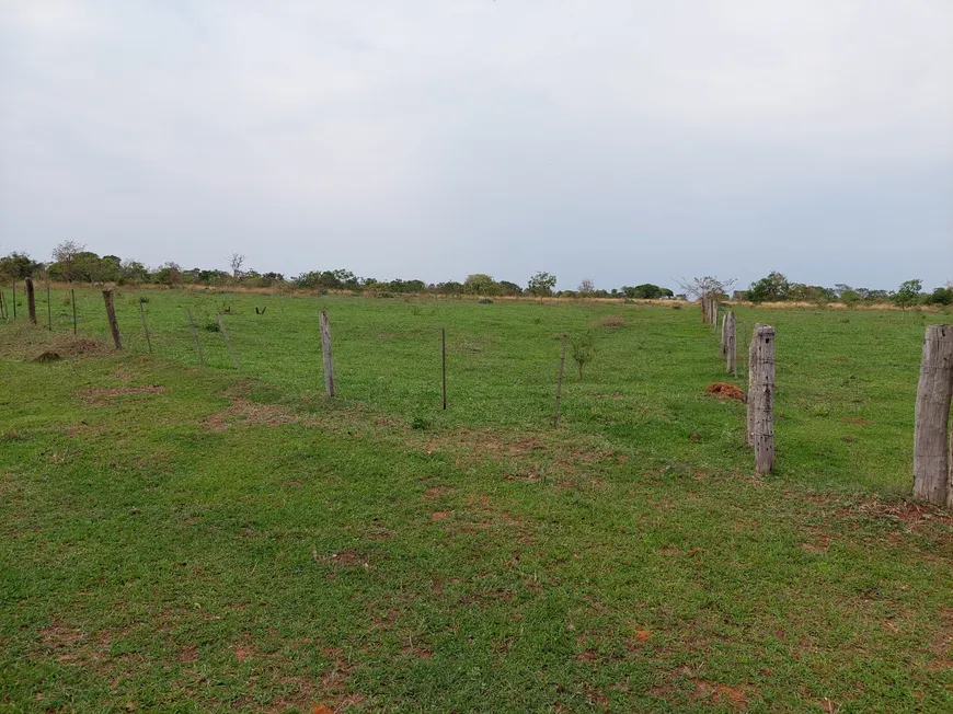 Foto 1 de Fazenda/Sítio à venda em Jardim Urano, São José do Rio Preto