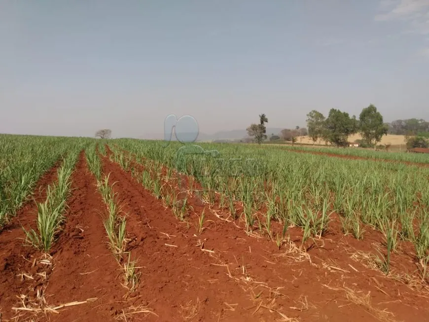 Foto 1 de à venda, 30000m² em Zona Rural, Cajuru