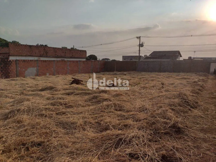 Foto 1 de Lote/Terreno à venda, 300m² em Santa Mônica, Uberlândia