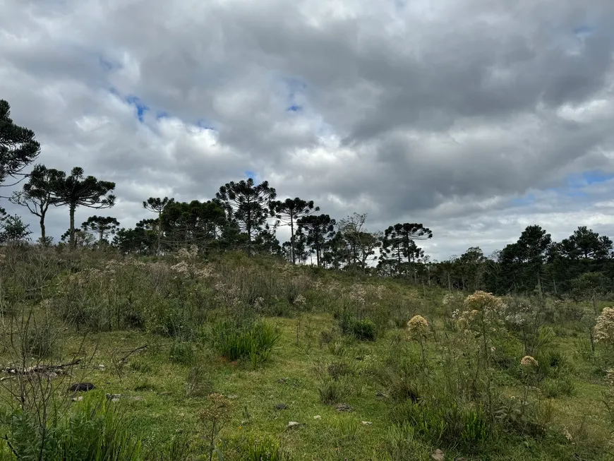 Foto 1 de Fazenda/Sítio à venda, 20000m² em Urubici, Urubici