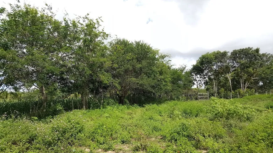 Foto 1 de Fazenda/Sítio à venda, 53000m² em Zona Rural, Areia Branca