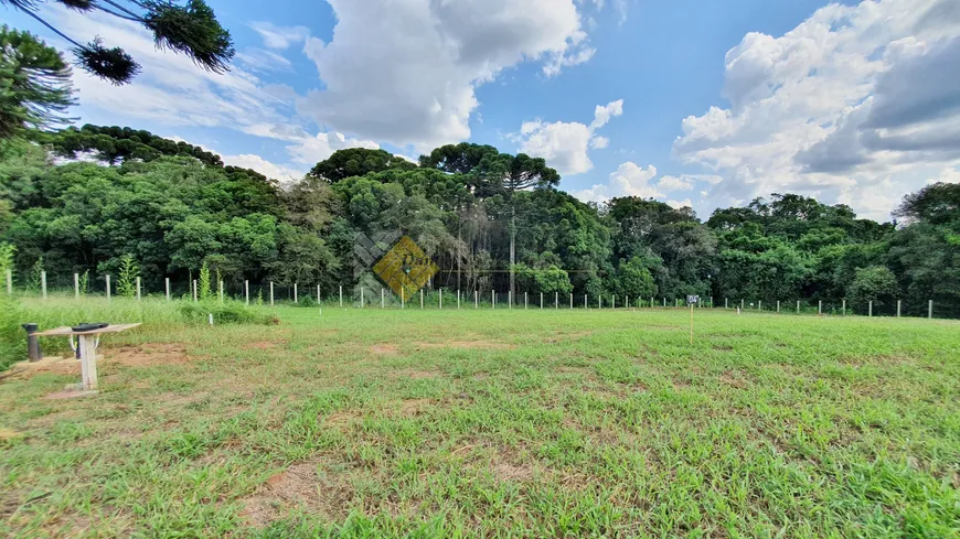 Foto 1 de Lote/Terreno à venda, 755m² em Campo Comprido, Curitiba