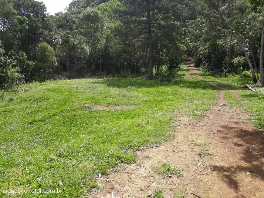 Foto 1 de à venda, 11m² em Vila Germania, Nova Petrópolis