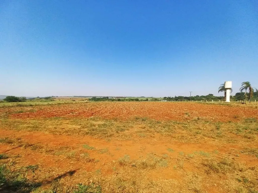 Foto 1 de Lote/Terreno para alugar, 20000m² em , Iracemápolis