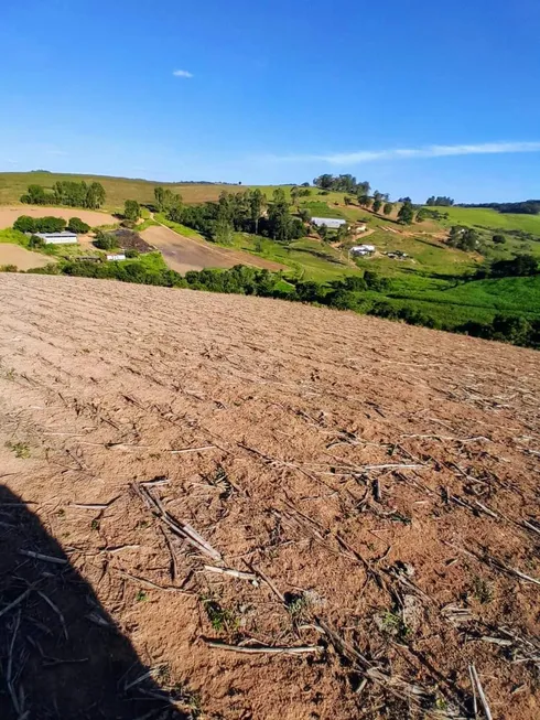 Foto 1 de Lote/Terreno à venda, 10000m² em , São João da Mata