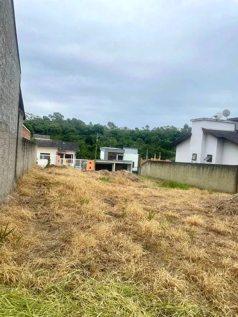 Foto 1 de Lote/Terreno à venda, 370m² em Santo Antônio, Criciúma