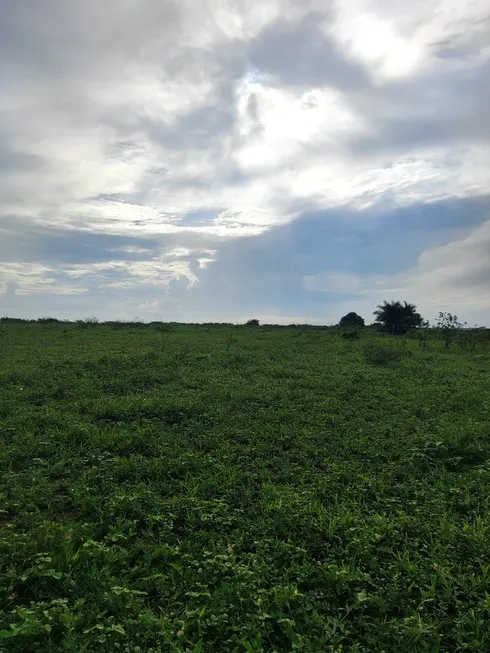 Foto 1 de Fazenda/Sítio com 1 Quarto à venda, 200m² em Zona Rural, Boa Saúde