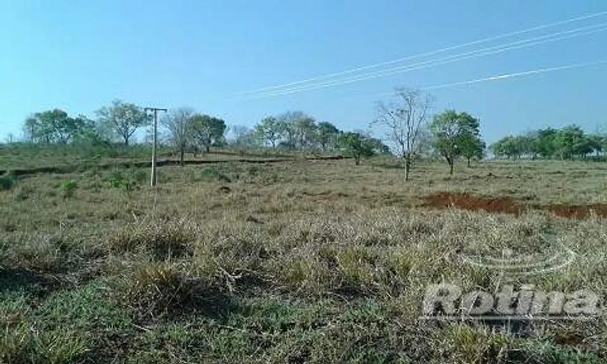 Foto 1 de Fazenda/Sítio à venda, 20000m² em Zona Rural, Uberlândia