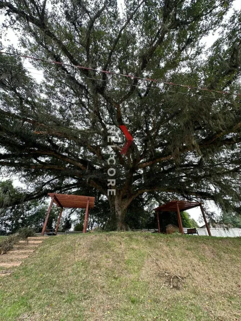 Foto 1 de Lote/Terreno à venda, 180m² em Cocão, Viamão