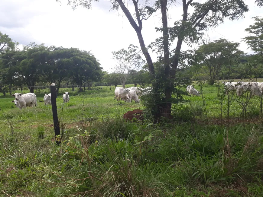 Foto 1 de Lote/Terreno à venda, 20000m² em Centro, Araçaí