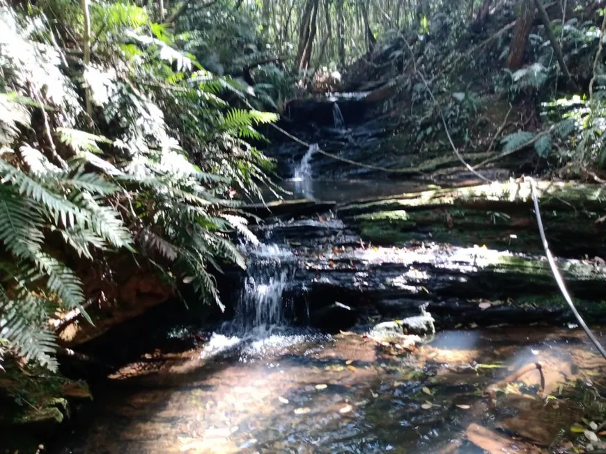 Foto 1 de Fazenda/Sítio à venda, 132000m² em Zona Rural, São Thomé das Letras