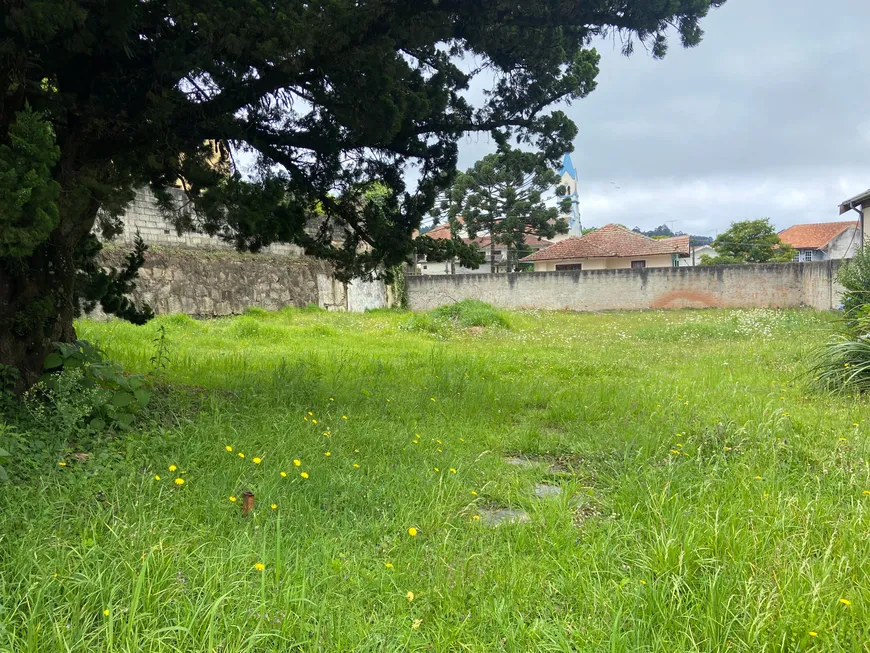 Foto 1 de Lote/Terreno à venda, 600m² em Vila Abernessia, Campos do Jordão