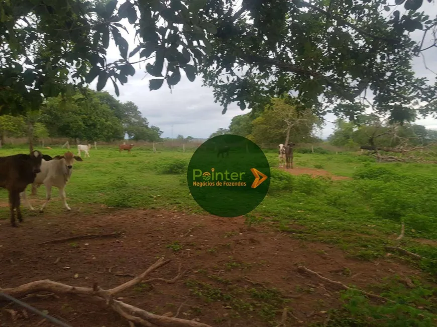 Foto 1 de Fazenda/Sítio com 3 Quartos à venda, 798600m² em Zona Rural, Baliza