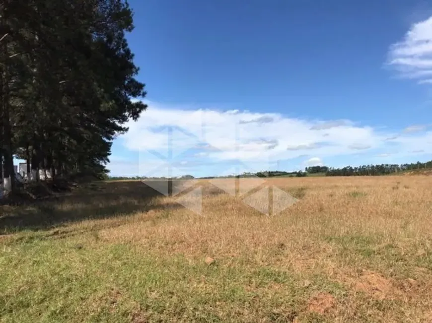 Foto 1 de Lote/Terreno para alugar, 600m² em Vera Cruz, Gravataí