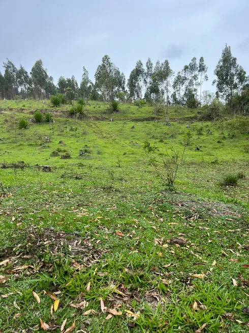 Foto 1 de Lote/Terreno à venda, 1000m² em Centro, Guararema