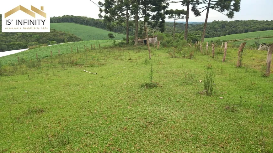 Foto 1 de Fazenda/Sítio com 4 Quartos à venda, 20000m² em Zona Rural, São José dos Pinhais