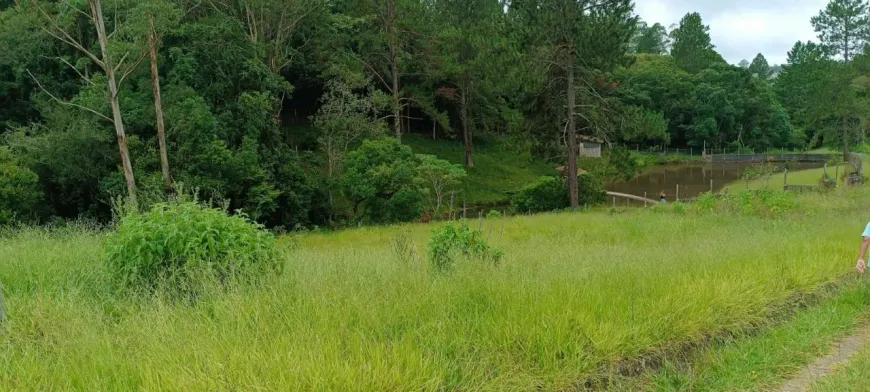 Foto 1 de Lote/Terreno à venda, 500m² em Rio de Una, Ibiúna