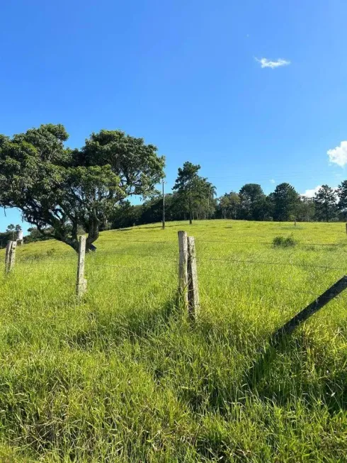 Foto 1 de Lote/Terreno à venda, 500m² em Morro Grande, Ibiúna