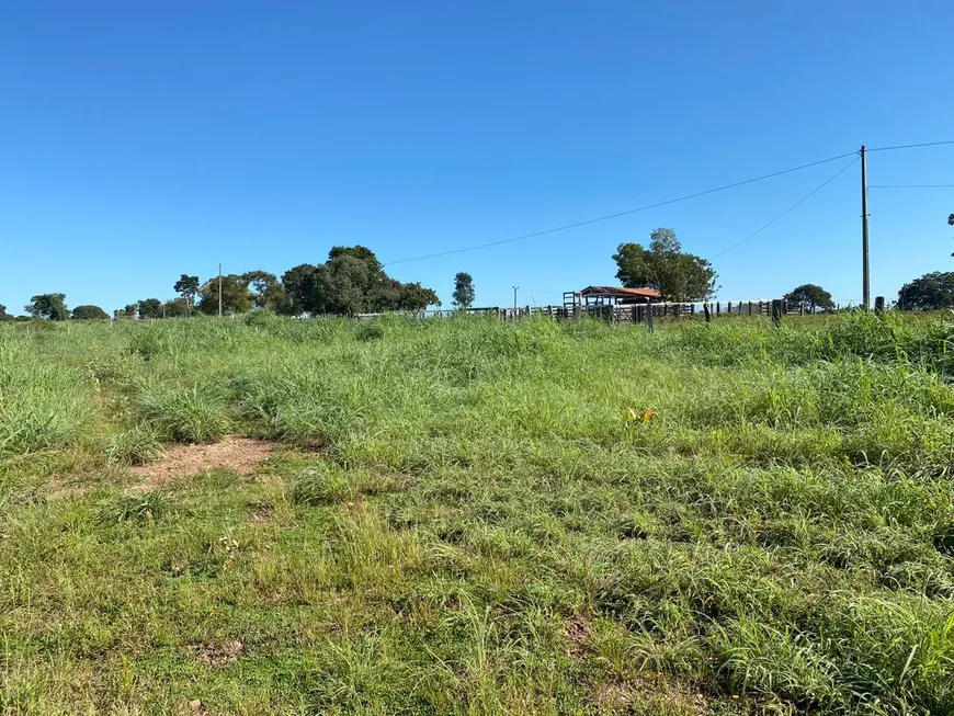 Foto 1 de Fazenda/Sítio com 5 Quartos à venda, 83m² em , Crixás