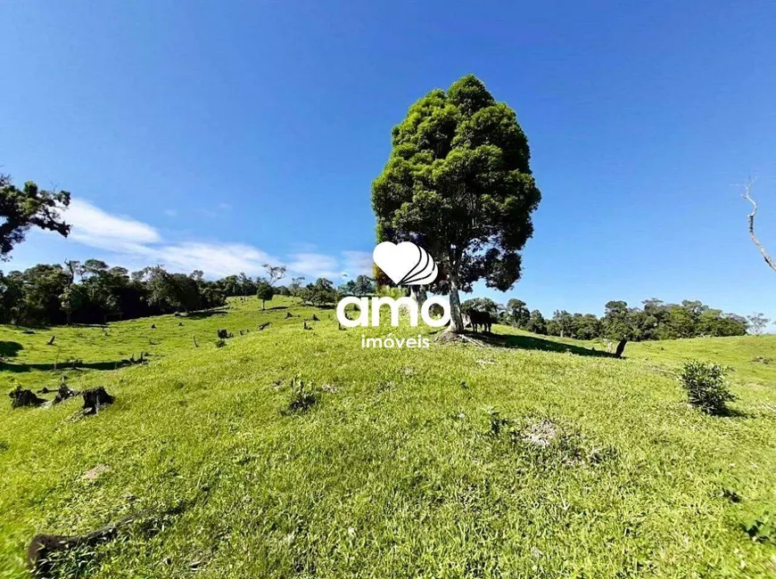 Foto 1 de Fazenda/Sítio à venda, 300000m² em Rio das Antas, Rancho Queimado