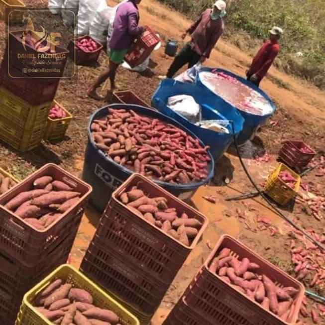 Foto 1 de Fazenda/Sítio com 3 Quartos à venda, 50000m² em Centro, Touros