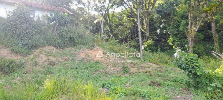 Foto 1 de Lote/Terreno à venda, 3000m² em , Campina Grande do Sul