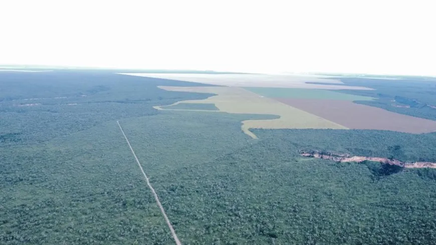 Foto 1 de Fazenda/Sítio à venda, 216300000m² em Zona Rural, Baixa Grande do Ribeiro