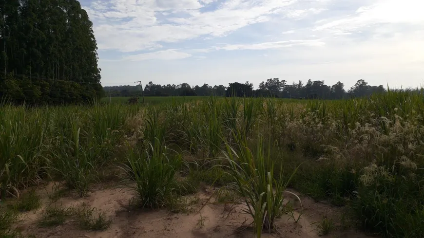 Foto 1 de Fazenda/Sítio à venda, 542143m² em Benfica, Elias Fausto