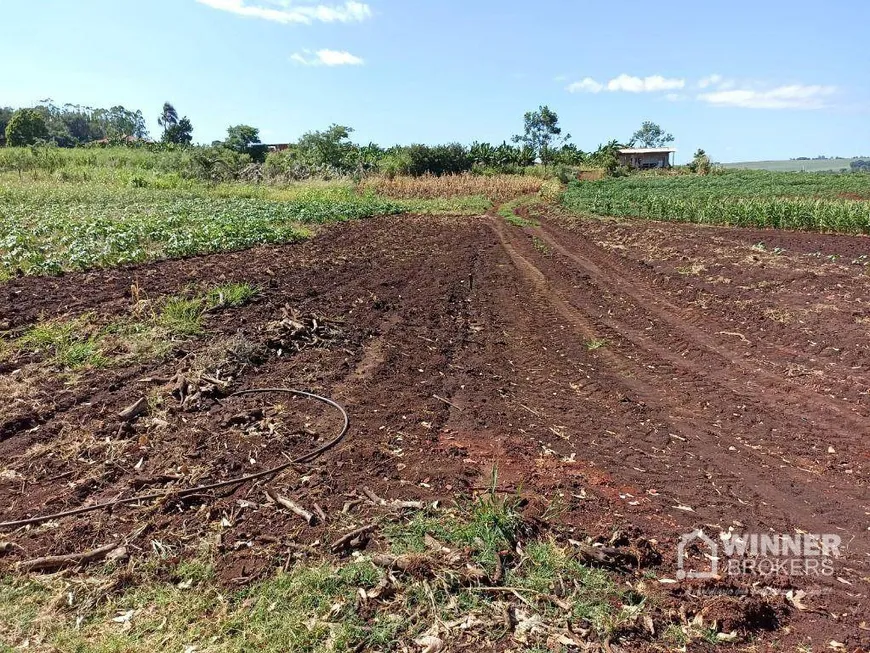 Foto 1 de Fazenda/Sítio com 1 Quarto à venda, 13600m² em Jardim Alvorada, Maringá