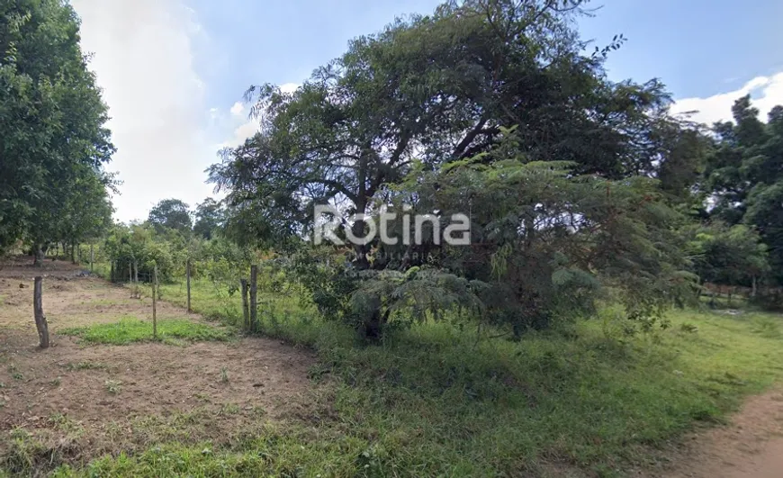 Foto 1 de Lote/Terreno à venda, 1000m² em Morada Nova, Uberlândia