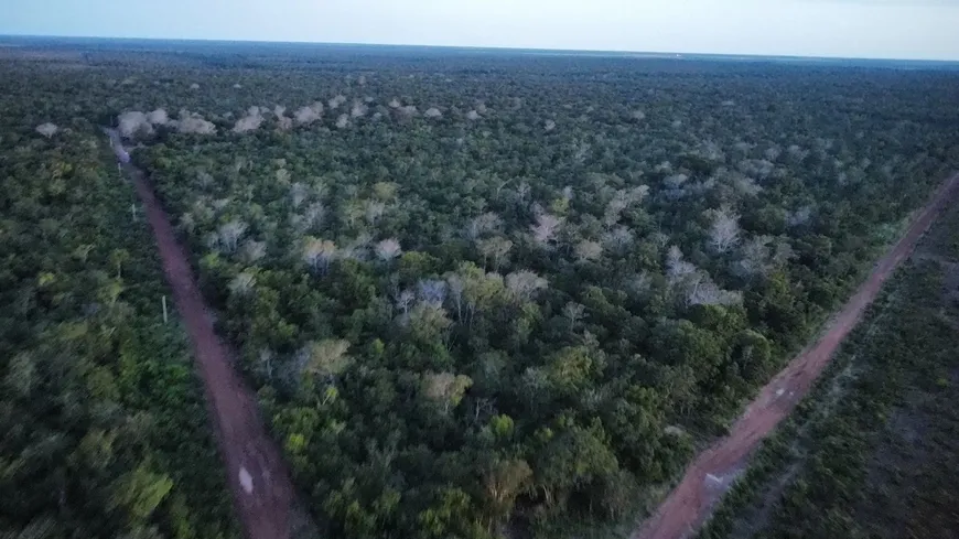 Foto 1 de Fazenda/Sítio à venda em Pontinopolis, São Félix do Araguaia