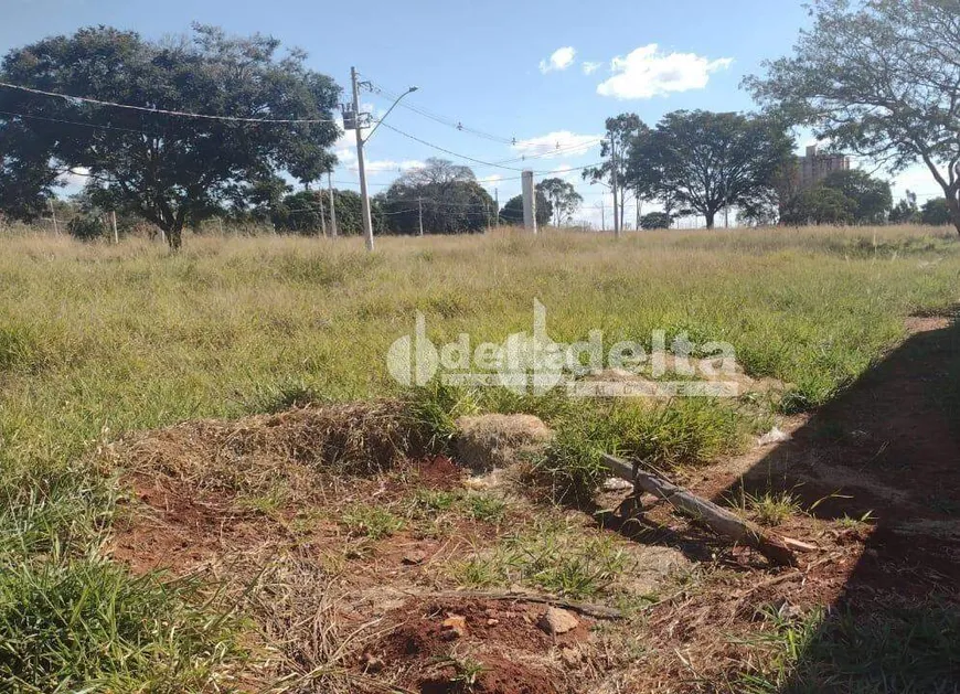 Foto 1 de Lote/Terreno à venda, 250m² em Residencial Fruta do Conde, Uberlândia