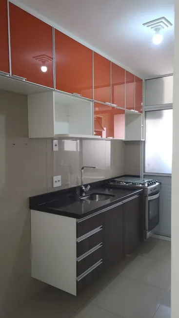 Foto 1 de Apartamento com 3 Quartos para alugar, 76m² em Vila das Belezas, São Paulo