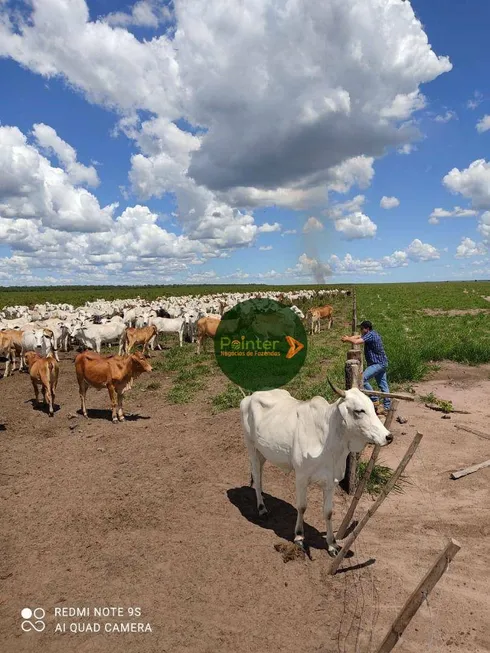 Foto 1 de Fazenda/Sítio à venda, 93992800m² em , Baianópolis