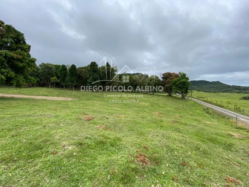 Foto 1 de Fazenda/Sítio à venda, 5500m² em Cedro Alto, Rio dos Cedros