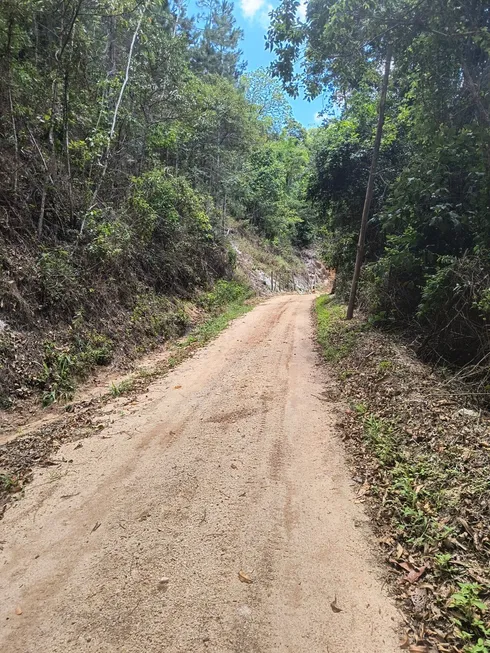 Foto 1 de Lote/Terreno à venda, 20000m² em Arace, Domingos Martins