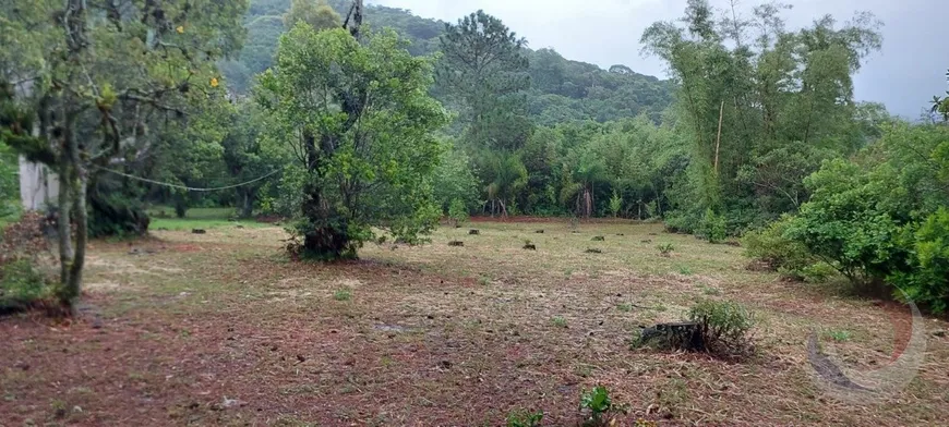 Foto 1 de Lote/Terreno à venda, 4449m² em Armação do Pântano do Sul, Florianópolis