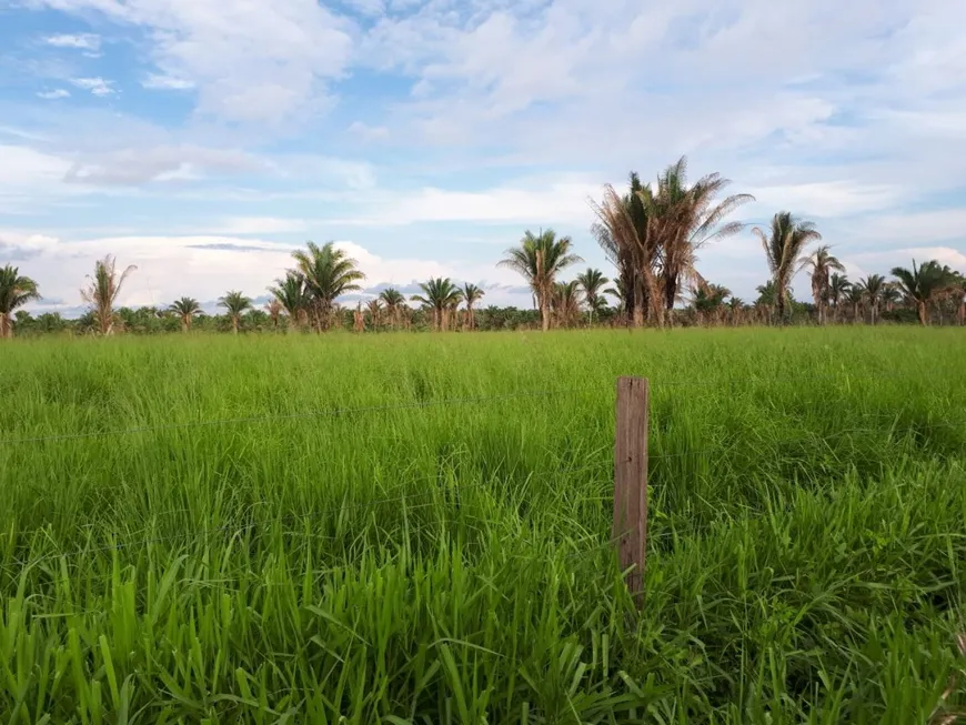 Foto 1 de Fazenda/Sítio à venda, 12m² em , Bacabal