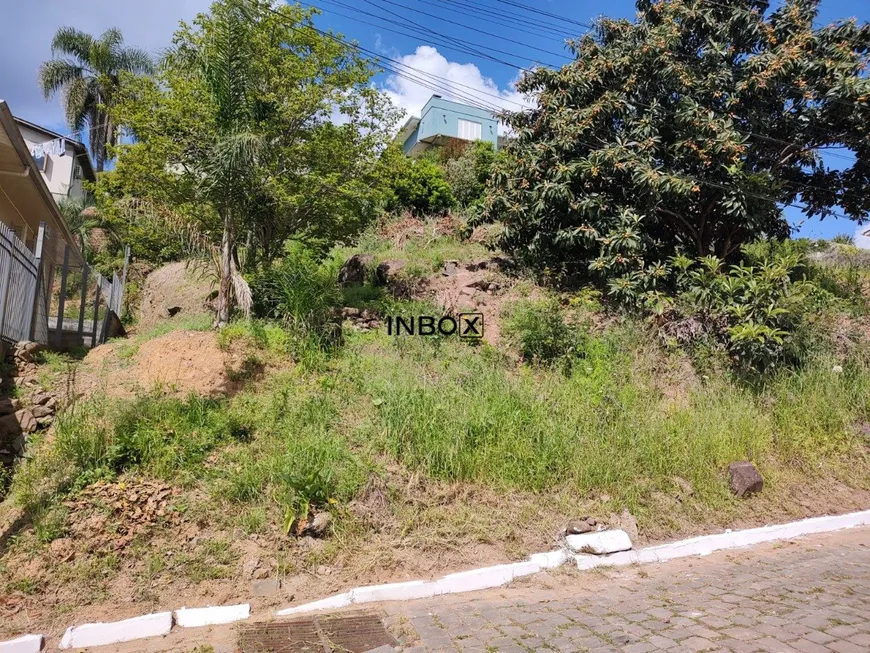 Foto 1 de Lote/Terreno à venda, 324m² em Vinhedos, Bento Gonçalves