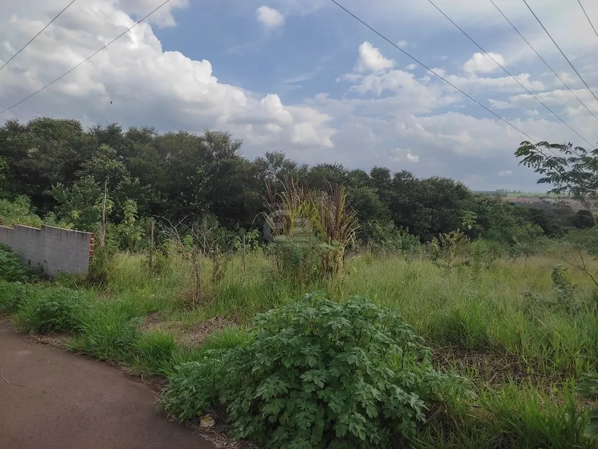 Foto 1 de Lote/Terreno à venda, 547m² em Jardim das Torres, São Carlos