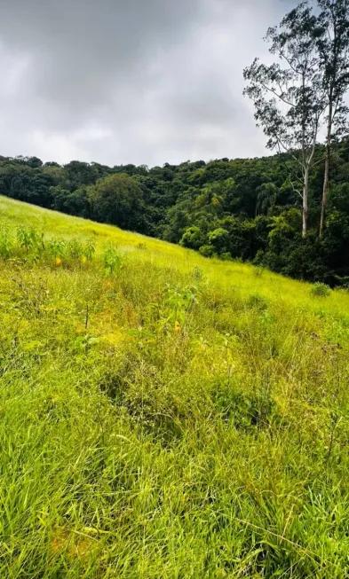 Foto 1 de Lote/Terreno à venda, 500m² em Recreio, Ibiúna