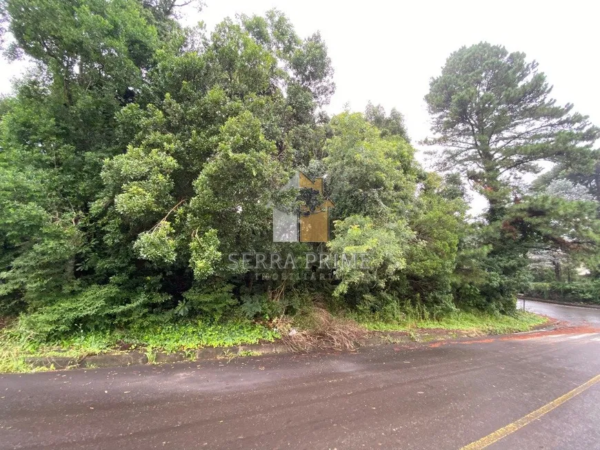 Foto 1 de Lote/Terreno à venda, 1200m² em Santa Terezinha, Canela