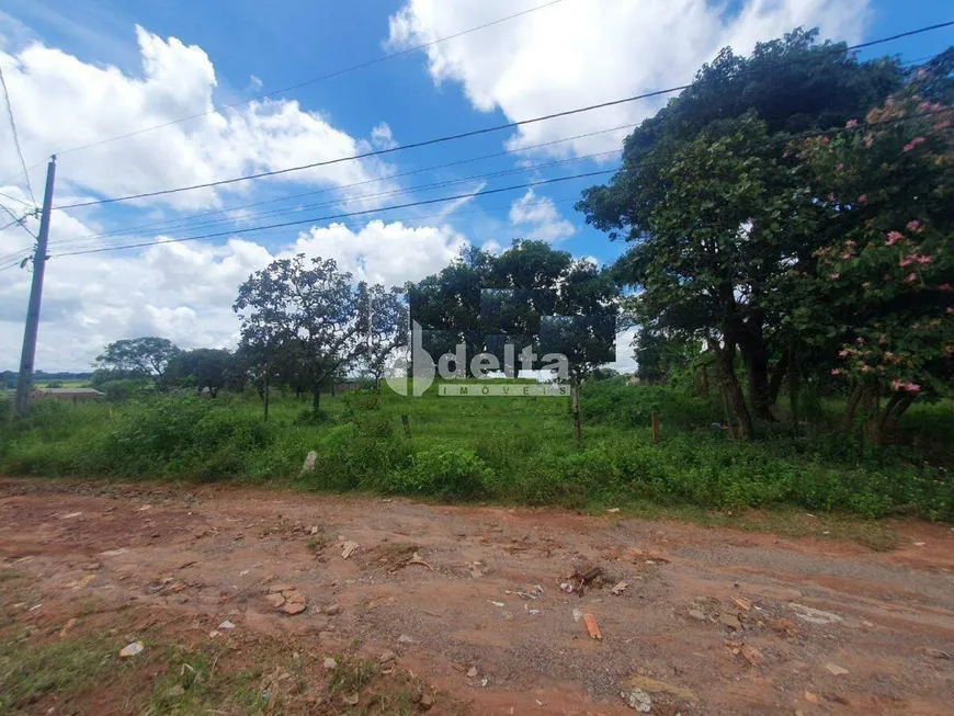 Foto 1 de Lote/Terreno à venda, 1000m² em Morada Nova, Uberlândia