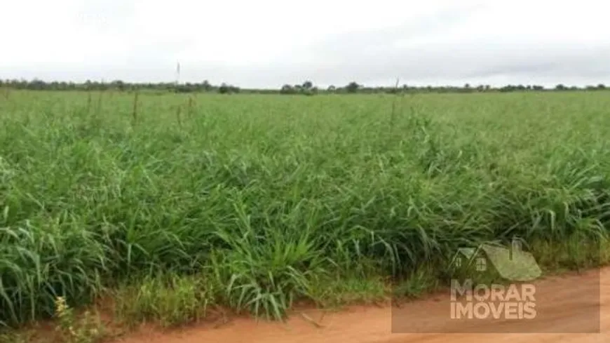 Foto 1 de Fazenda/Sítio à venda, 18113m² em Zona Rural, Goiatins