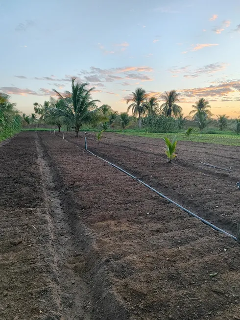 Foto 1 de Fazenda/Sítio com 4 Quartos à venda, 73m² em , Monte Alegre