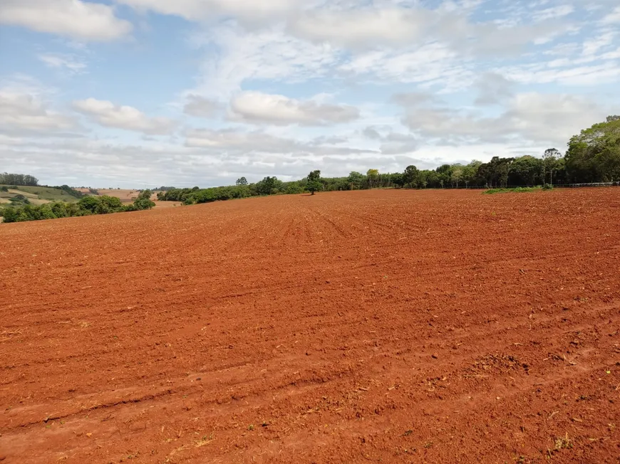 Foto 1 de Fazenda/Sítio com 3 Quartos à venda, 130m² em Area Rural de Itapetininga, Itapetininga