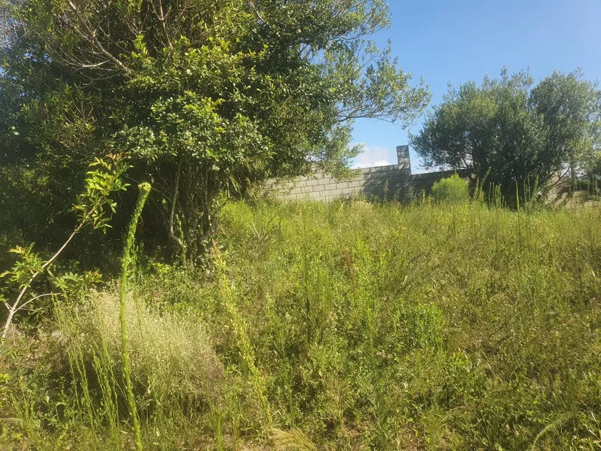 Foto 1 de Lote/Terreno à venda, 323m² em Praia do Rosa, Imbituba