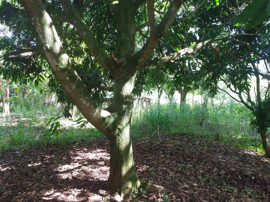 Foto 1 de Lote/Terreno à venda em Cristal Park I, Santana de Parnaíba